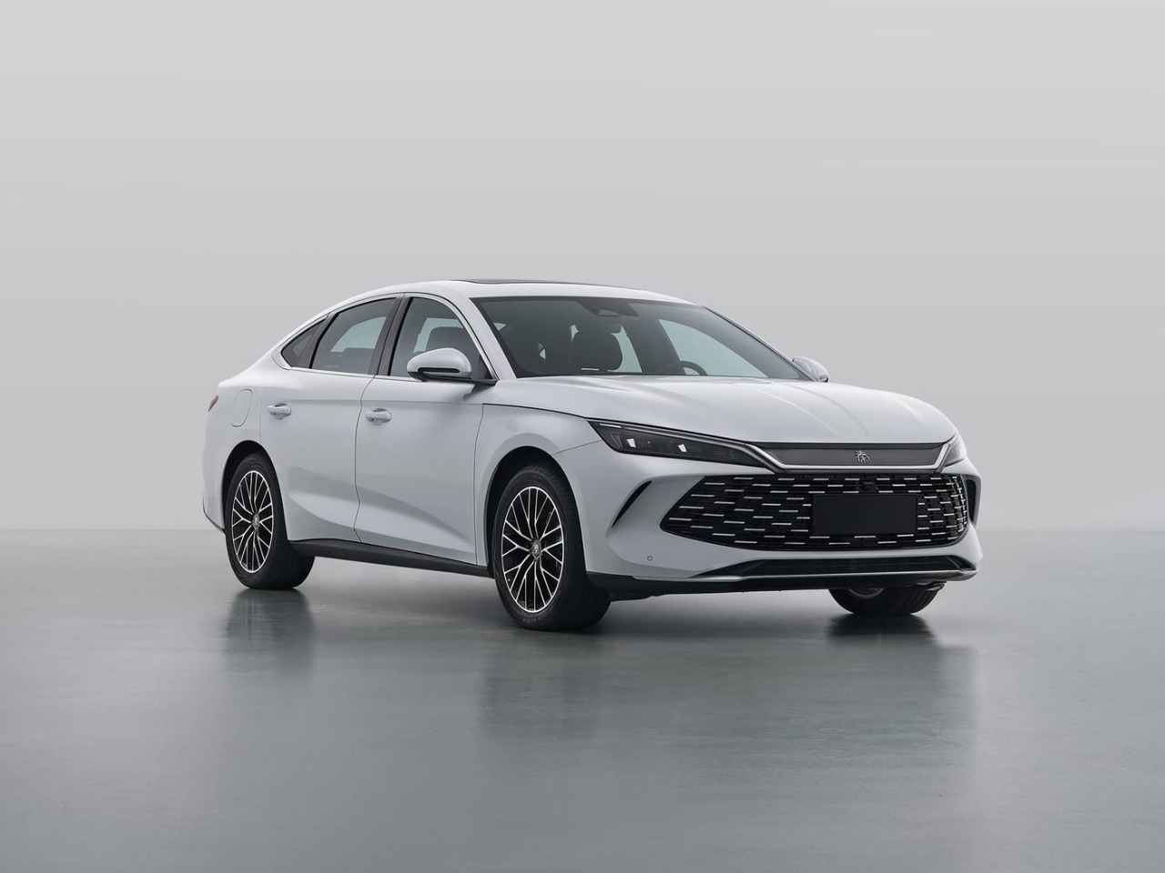 BYD qin L
