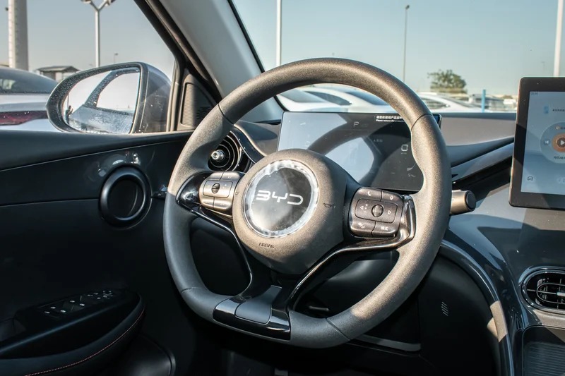 BYD E2 Comfort Gallery