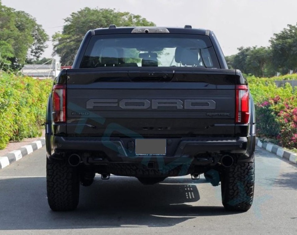 Ford F150 RAPTER Gallery