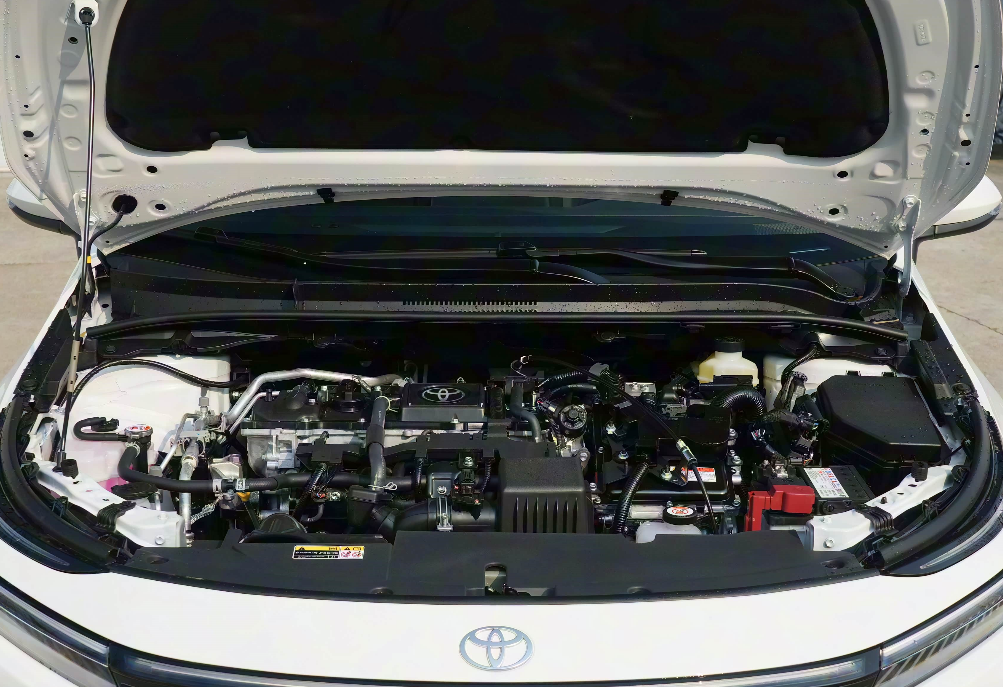 corolla Gallery